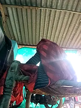 Hot-honi online show from November 8, 2025, 9:42 am