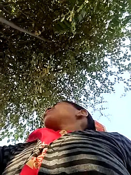 Hot-honi online show from November 17, 2025, 9:37 am