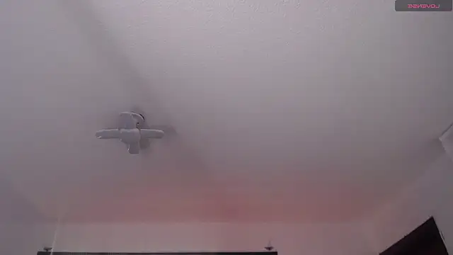  Charlotte Collins  online show from March 22, 2026, 2:20 pm