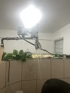 YadielPublic online show from April 10, 2026, 12:49 am