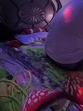 payal 261072  online show from October 27, 2025, 7:56 am