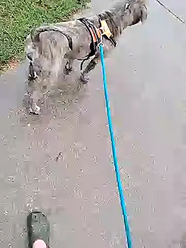 Unknownstepbrother online show from October 5, 2025, 7:56 pm