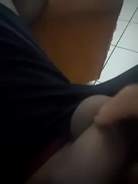 Novin23cms online show from December 14, 2025, 5:13 am