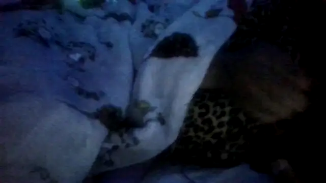 prettymaa online show from April 28, 2026, 3:22 am