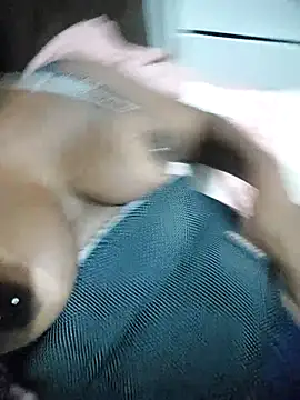 thamihravena online show from November 25, 2025, 2:44 am