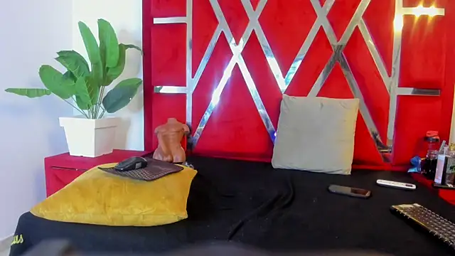 vennusasm1 online show from November 12, 2025, 8:30 pm