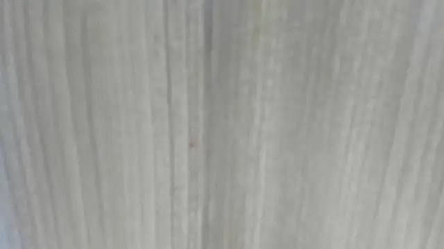 Snapshot of emycarver09 chatting on February 1, 2026, 11:31 am emycarver09 online show from February 1, 2026, 11:31 am