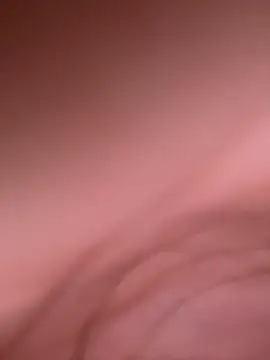 aninha21 online show from December 3, 2025, 2:04 pm