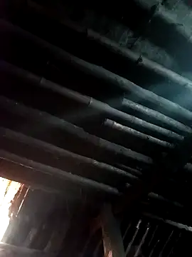 Snapshot of kihi-yo chatting on November 10, 2025, 1:48 am kihi-yo online show from November 10, 2025, 1:48 am