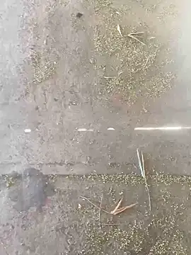 Chico031289 online show from October 28, 2025, 7:16 pm