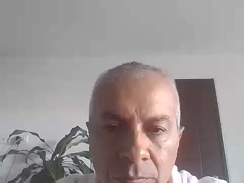 ALFRERM online show from October 12, 2025, 7:35 pm