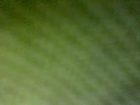 honestglacier9 online show from October 17, 2025, 7:27 pm