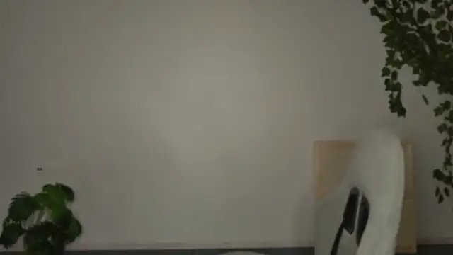 Yoka paradoXXX online show from November 6, 2025, 5:08 am