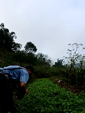 Snapshot of kemtuoi-sex chatting on October 3, 2025, 1:13 am kemtuoi-sex online show from October 3, 2025, 1:13 am