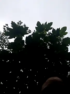 Snapshot of kemtuoi-sex chatting on October 19, 2025, 11:05 pm kemtuoi-sex online show from October 19, 2025, 11:05 pm