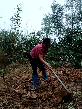 Snapshot of kemtuoi-sex chatting on October 31, 2025, 8:37 am kemtuoi-sex online show from October 31, 2025, 8:37 am