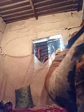 Notyriya7 online show from April 12, 2026, 4:50 am