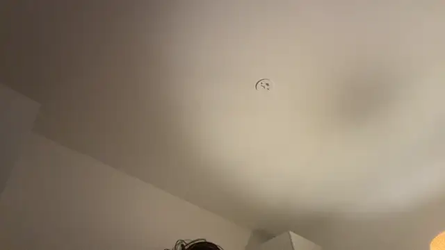 Swedishfish69 online show from February 8, 2026, 4:32 pm