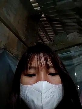 Snapshot of kata-00 chatting on February 1, 2026, 4:55 am kata-00 online show from February 1, 2026, 4:55 am