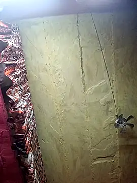 Suman ji1 online show from November 27, 2025, 9:06 pm