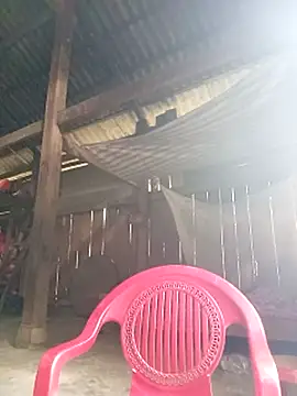 Snapshot of riso-00 chatting on October 21, 2025, 5:08 am riso-00 online show from October 21, 2025, 5:08 am