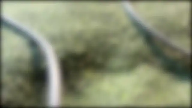 AzureEyes online show from February 24, 2026, 2:37 pm