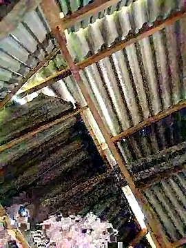 lyuyenkk online show from November 3, 2025, 1:08 am