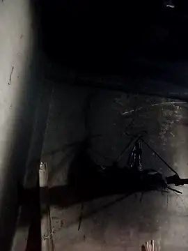 Dung x online show from January 10, 2026, 1:02 pm