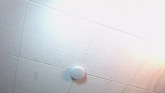 RichardMilleer online show from November 12, 2025, 2:17 pm