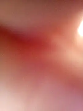 Jarektchurzewski online show from April 23, 2026, 3:36 pm