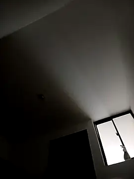 zamir adam online show from October 20, 2025, 12:05 pm