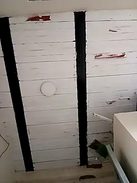 zamir adam online show from October 27, 2025, 1:26 pm