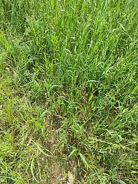 karandeep Bhagat online show from April 19, 2026, 5:07 am