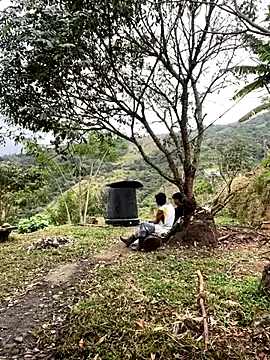 sky-wolves online show from September 18, 2025, 4:09 pm