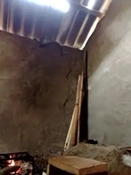 donna-bae online show from March 13, 2026, 4:30 am