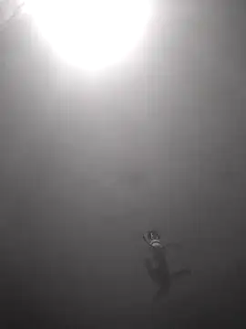 Hott cutgirl online show from October 16, 2025, 12:33 am