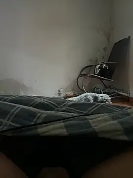 Snapshot of sambergSILVa chatting on November 8, 2025, 12:38 pm sambergSILVa online show from November 8, 2025, 12:38 pm