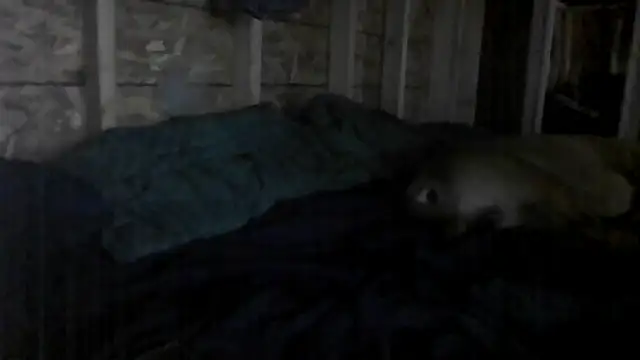 Snapshot of stuandangie28129r chatting on July 9, 2026, 5:00 am stuandangie28129r online show from July 9, 2026, 5:00 am