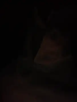 Snapshot of Halyy_xx chatting on March 4, 2026, 1:28 pm Halyy xx online show from March 4, 2026, 1:28 pm