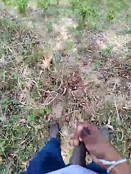 DICKLANKA online show from September 23, 2025, 8:28 am