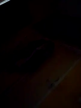 Sumitx007 online show from September 24, 2025, 7:06 pm