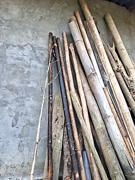 diamond-- online show from April 17, 2026, 12:57 am