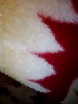 alone boy802 online show from October 28, 2025, 8:29 am