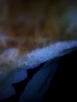 alone boy802 online show from November 5, 2025, 12:54 am