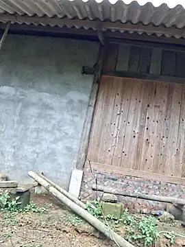 Snapshot of xuxulovezz chatting on November 9, 2025, 6:55 am xuxulovezz online show from November 9, 2025, 6:55 am