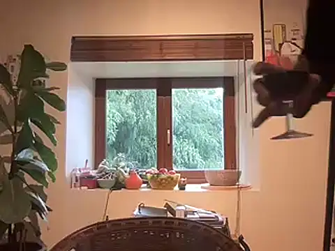 chtentation online show from February 14, 2026, 2:03 pm