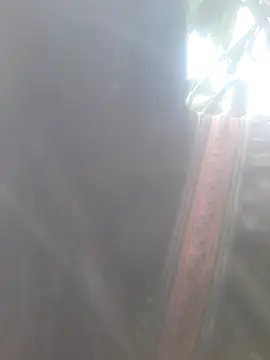 bree-zz online show from November 10, 2025, 1:48 am