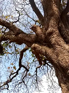 Rs sonam online show from April 4, 2026, 10:57 am