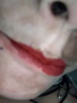 Na shreya online show from February 1, 2026, 3:21 pm