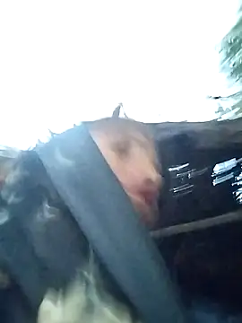 Na shreya online show from May 16, 2026, 11:46 pm